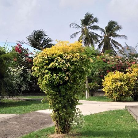 Appartement Rosbambou Les Pieds Dans L Eau 勒迪亚芒 外观 照片