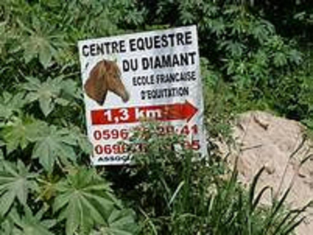 Appartement Rosbambou Les Pieds Dans L Eau 勒迪亚芒 外观 照片
