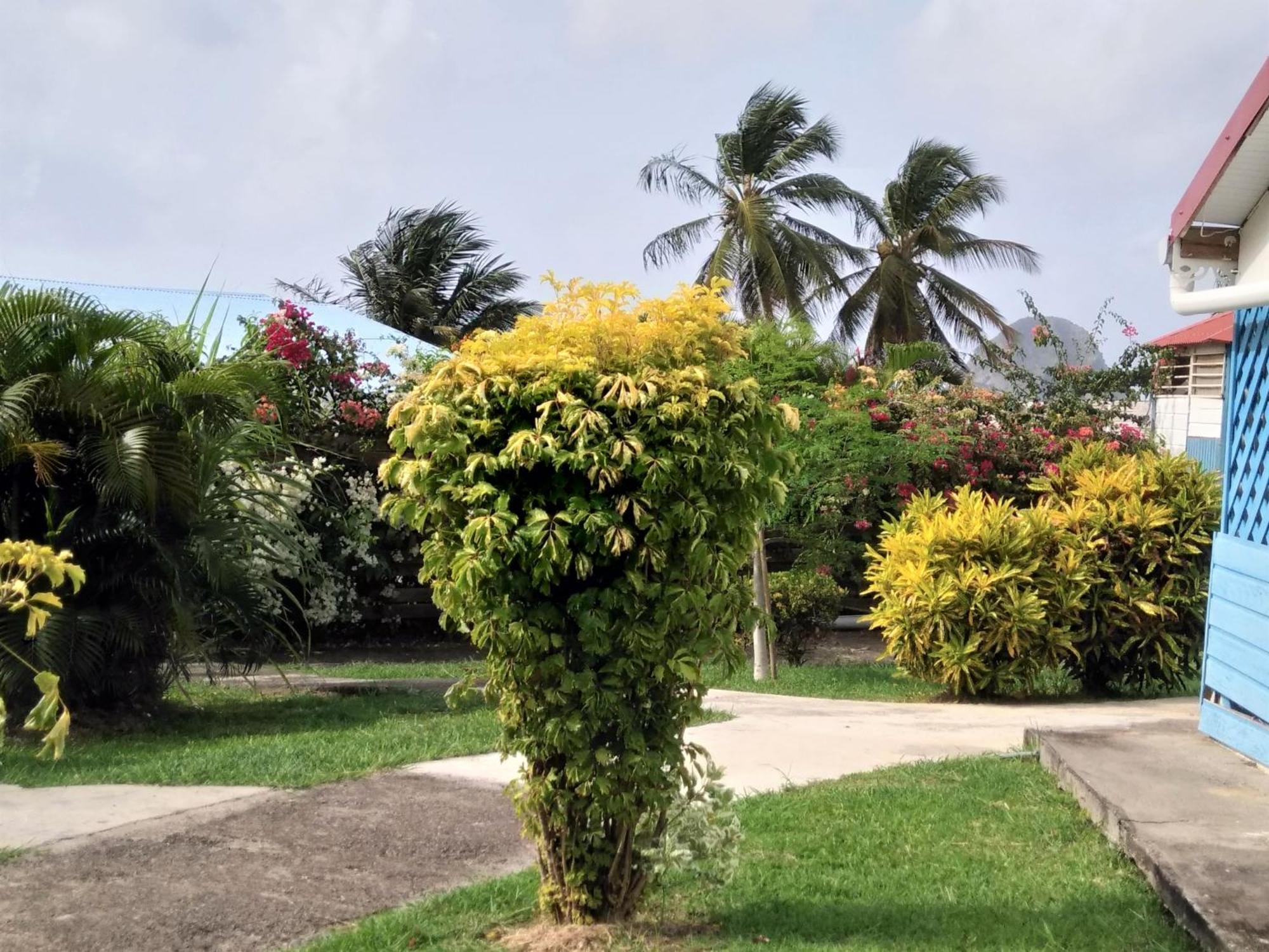 Appartement Rosbambou Les Pieds Dans L Eau 勒迪亚芒 外观 照片